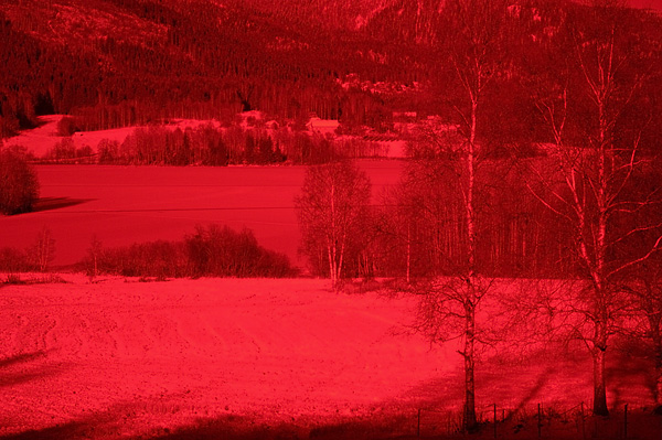 Infrared Landscape, by D2X & Wratten 89B