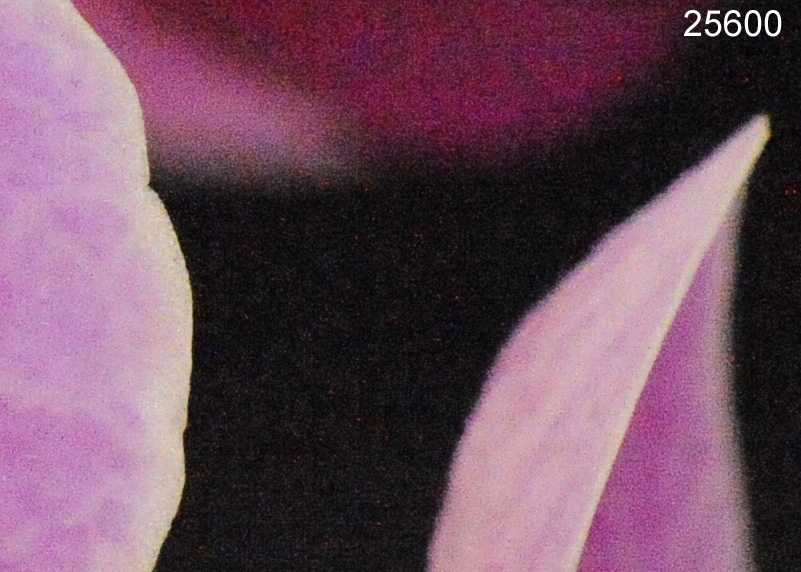 D3 25600 ISO (Hi-2) 100% crop