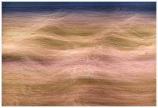 Far Side:  Wind Waves in Grassland